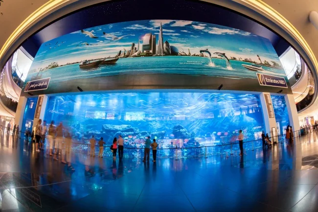 Underwater acrylic glass tunnel aquariums — view 2