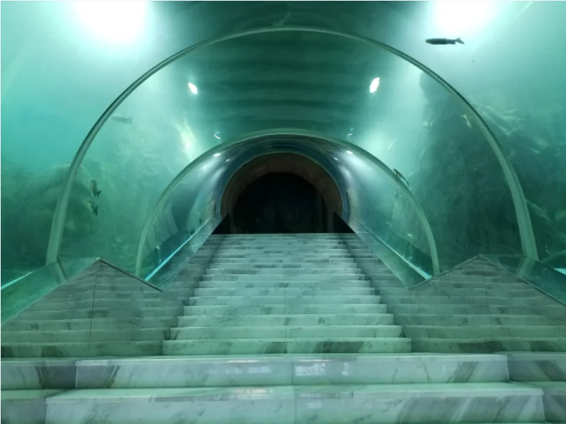 Curved Oceanarium aquarium tank acrylics glass tunnel