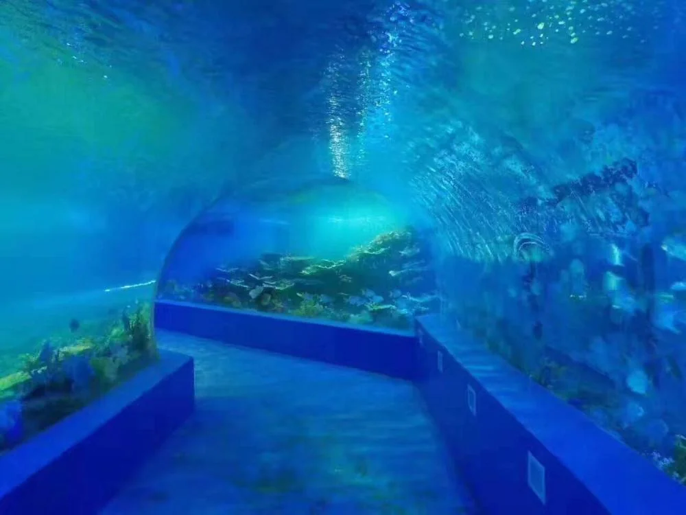 Raw material lucite acrylic aquarium tunnel restaurant — view 2