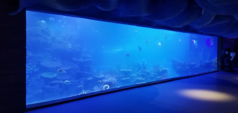 Large acrylic fish tanks for restaurant — view 2