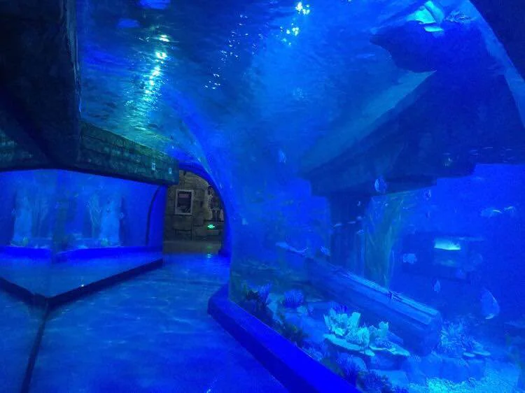 Raw material lucite acrylic aquarium tunnel restaurant — view 3