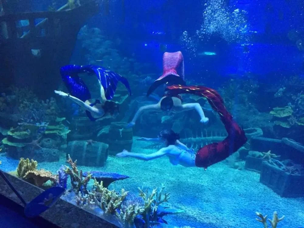 Transparent underwater acrylic glass tunnel aquarium — view 3