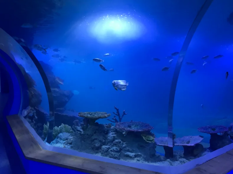 Customized transparent acrylic aquarium tunnel — view 2