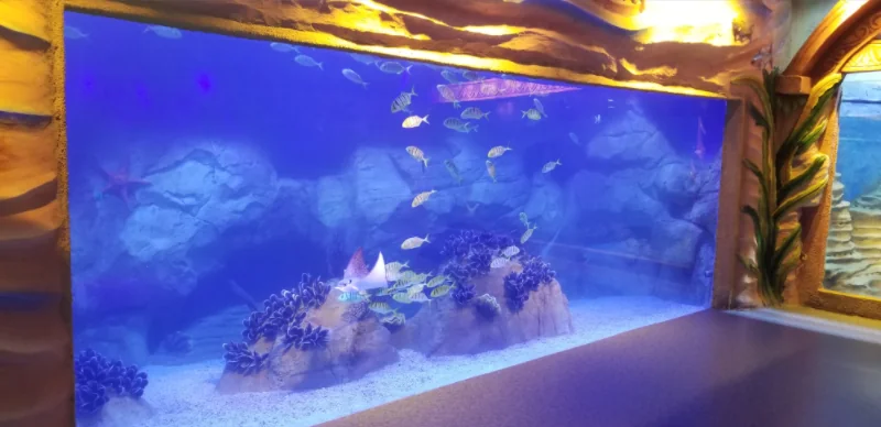 Curved Oceanarium aquarium tank acrylics glass tunnel — view 3