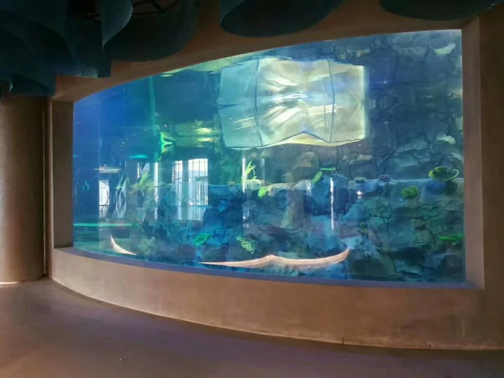 Customize big size square saltwater marine aquariums — view 2