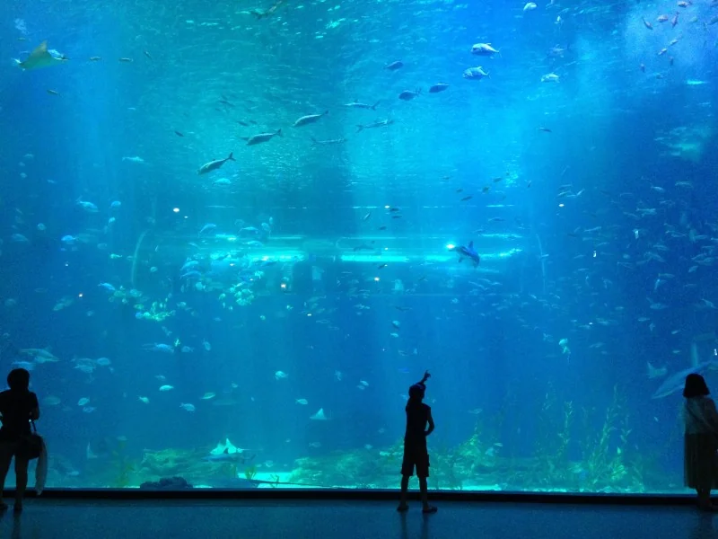 Underwater acrylic glass tunnel aquariums