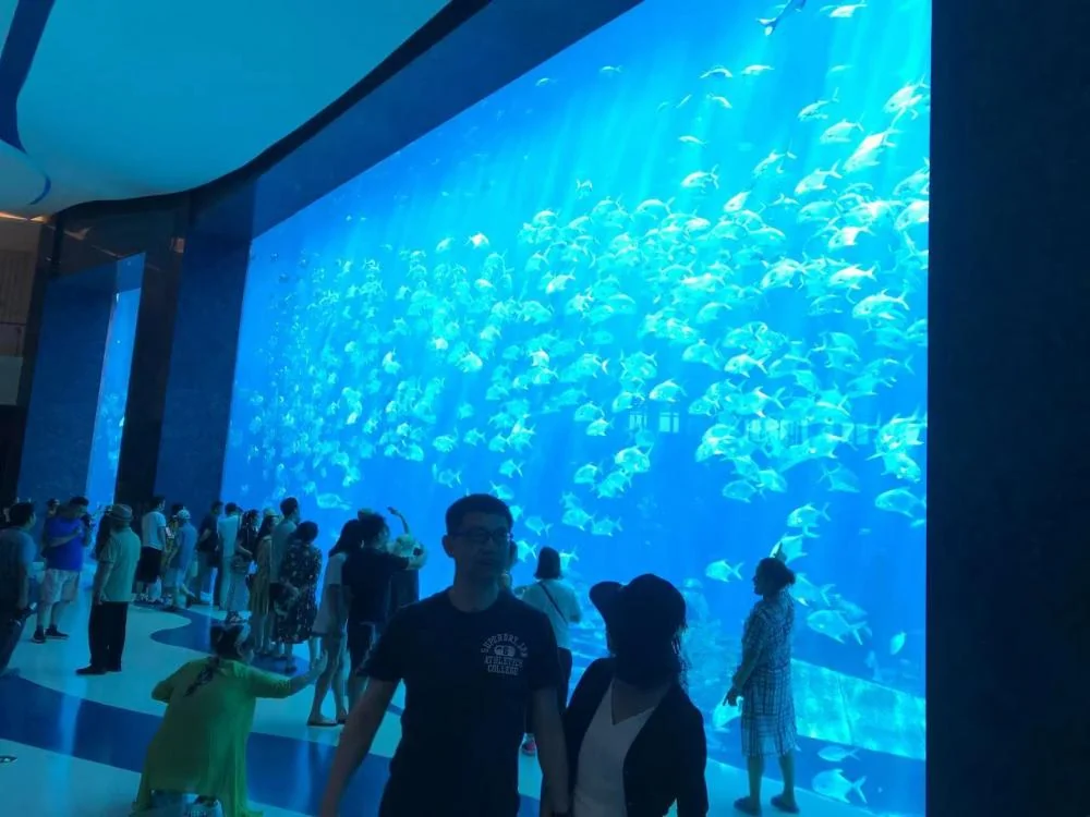 Acrylic glass fish tank acrylic aquariums for restaurant — view 2