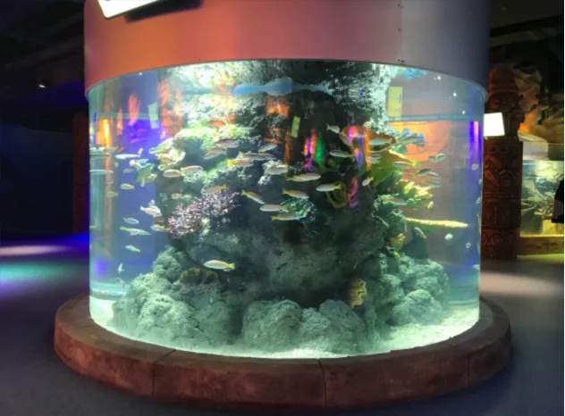 Acrylic cylinder aquarium