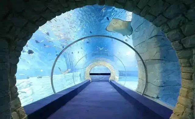 Raw Material Lucite Acrylic Aquarium Tunnel — view 3