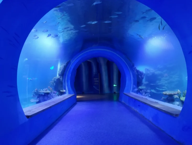 Large ultra clear curved acrylics glass tunnel