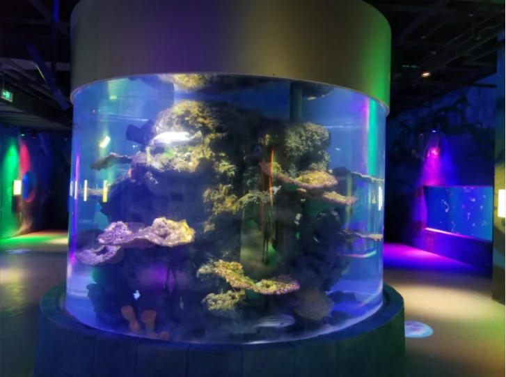 Tall cylindrical transparent acrylic fish tank aquarium