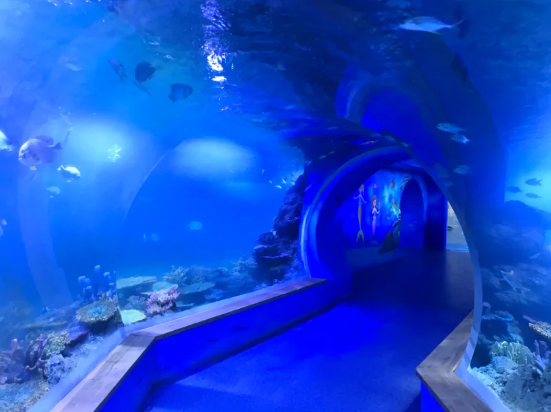 Transparent Panel Clear Acrylic Aquarium Tunnel — view 2