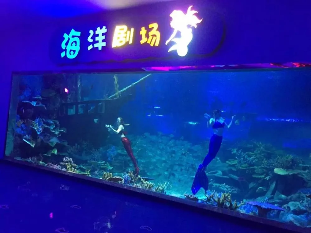 Clear acrylic PMMA tunnel/aquarium/tank glass