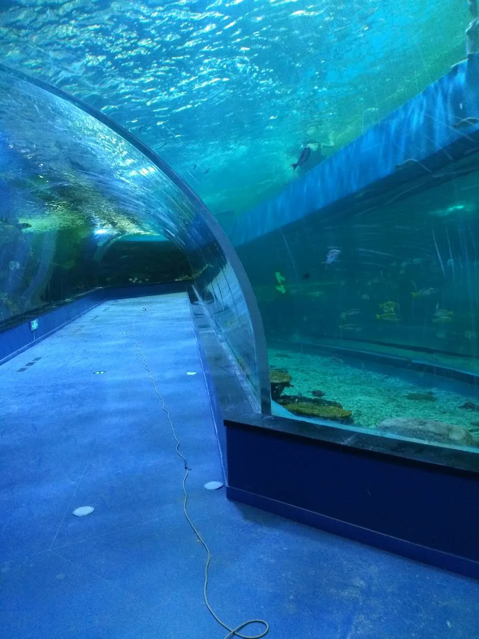 Large underwater World restaurant acrylic aquarium tunnel — view 2