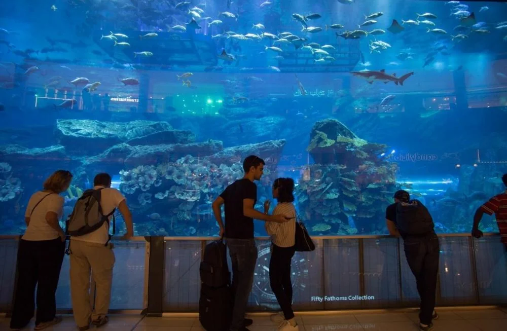 Customize big size square transparent plastic fish tank — view 2