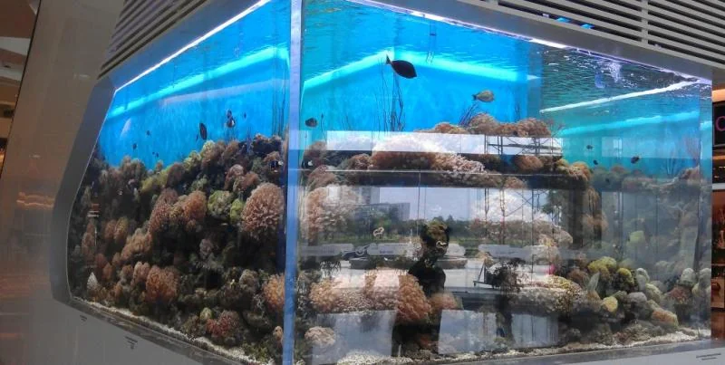Custom large size rectangle plastic acrylic fish tank — view 3