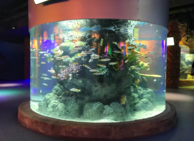 Large cylinder aquarium project