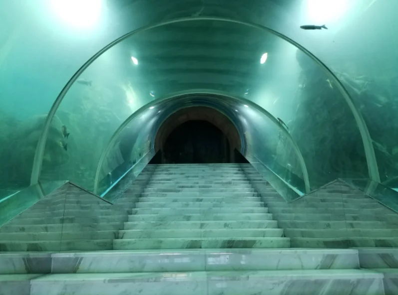 Large Customer Acrylic Aquarium Tunnel — view 2