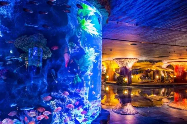 Transparent underwater acrylic glass tunnel aquarium — view 2