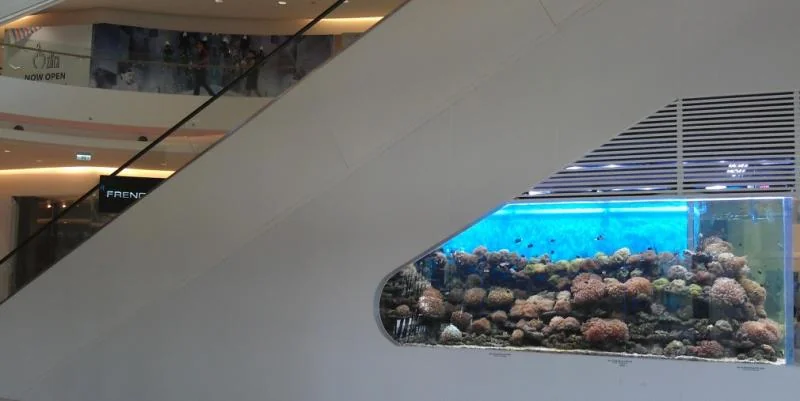 Customer large size pmma public place acrylic aquarium