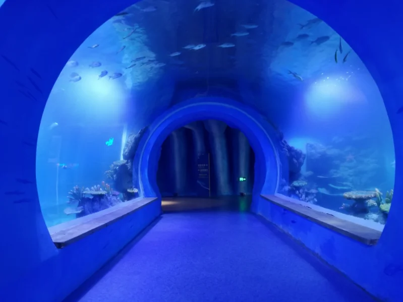 Raw Material Lucite Acrylic Aquarium Tunnel