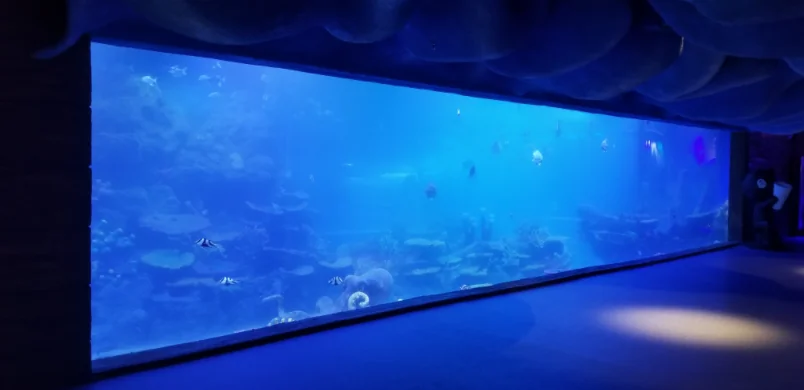 One Time Large Custom Acrylic Aquarium Tunnel