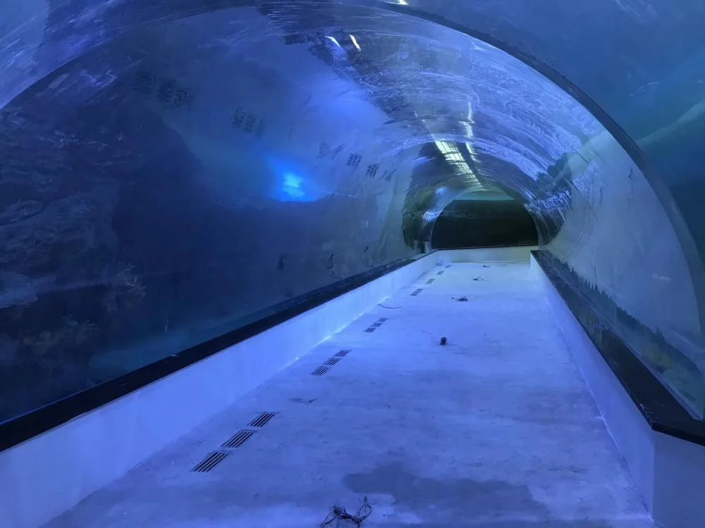 Large underwater World restaurant acrylic aquarium tunnel