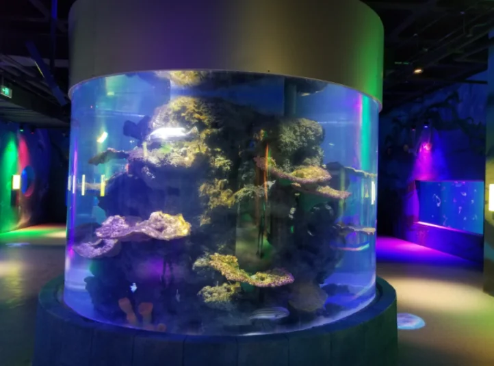 Acrylic aquarium tank for restaurant