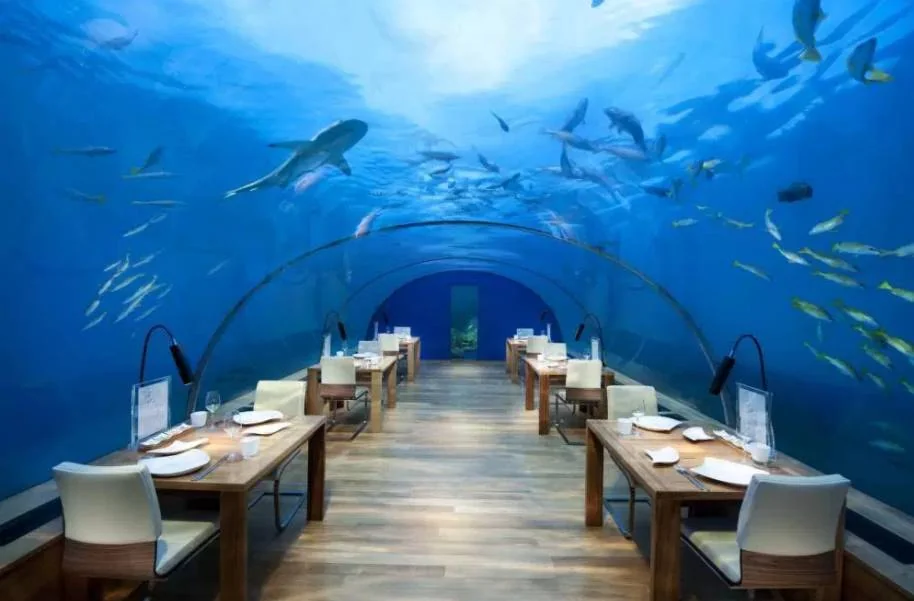 Custom large clear Acrylic Tunnel in ocean Aquarium
