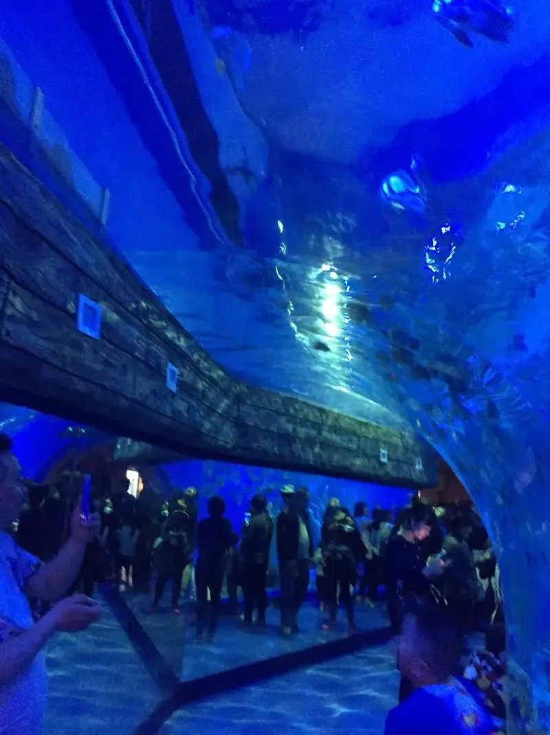 Underwater acrylic tunnel for sea world aquariums
