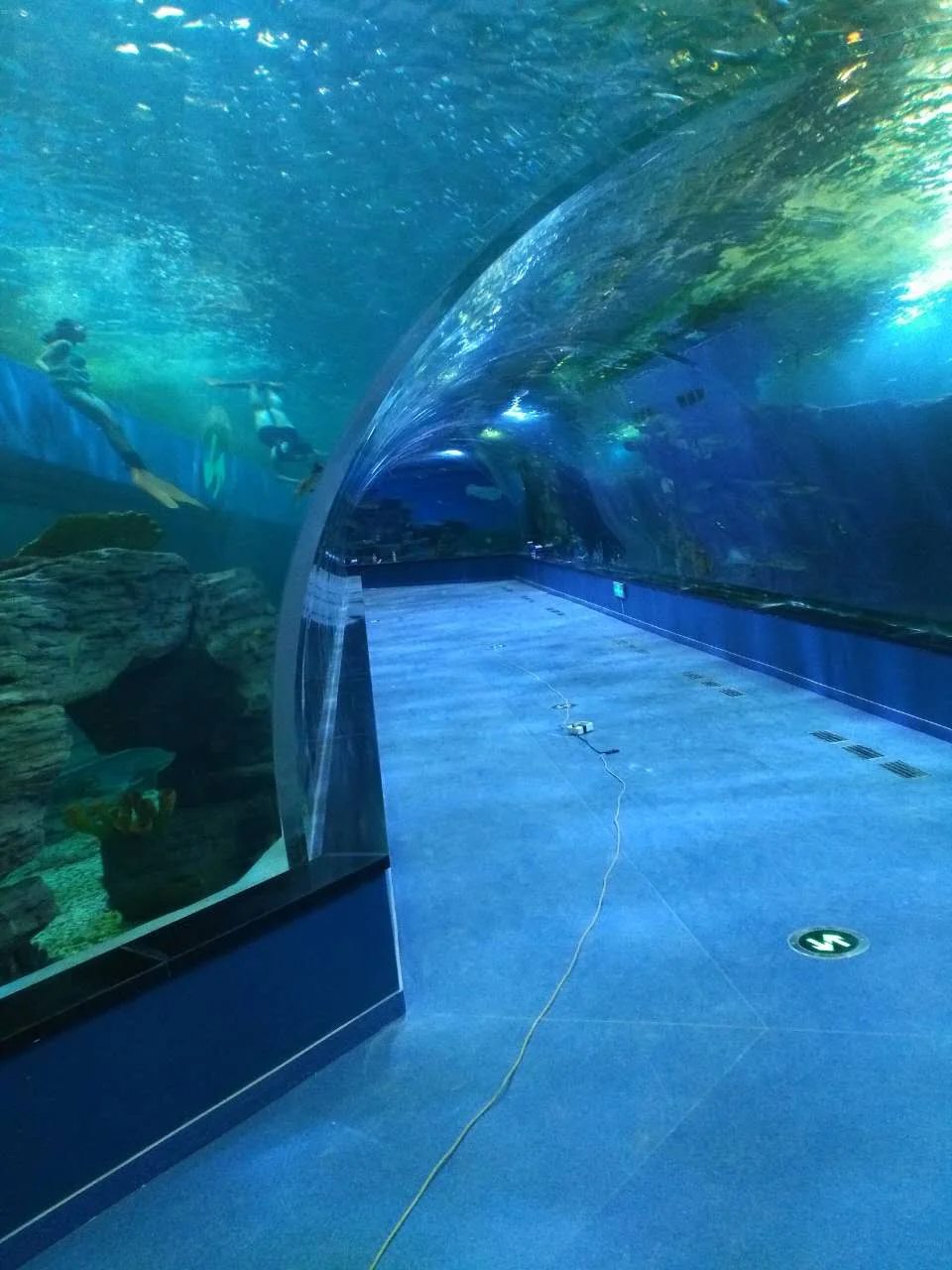 One Time Large Custom Acrylic Aquarium Tunnel — view 2