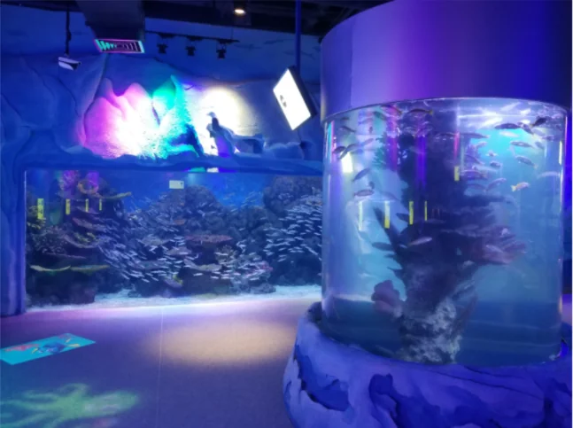 Aquarium tunnel under water transparent tunnel fish tank