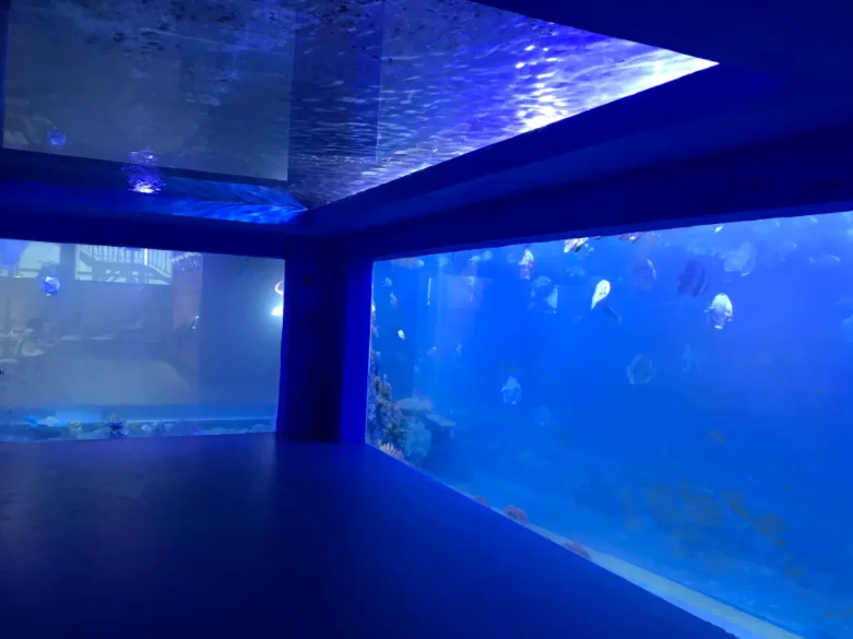 Large acrylic fish tanks for restaurant