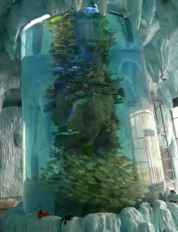 Acrylic cylinder aquarium — view 2