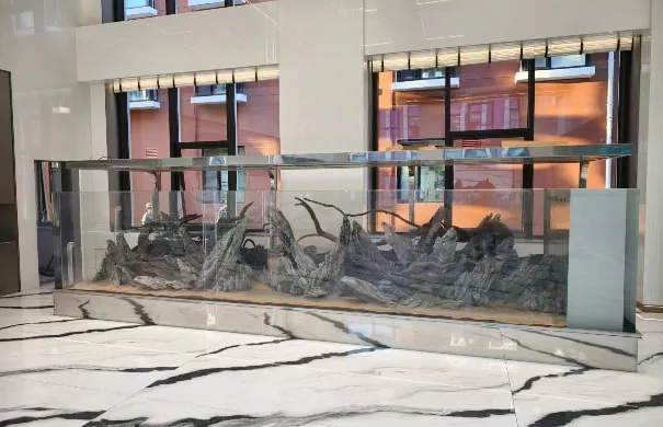 Aquarium interior and viewing wall