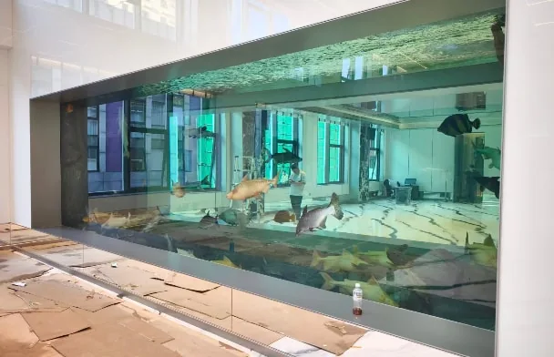 A second view of the aquarium installation