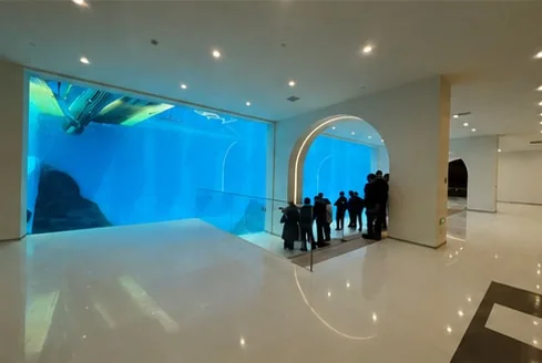 Curved viewing surface and observation space