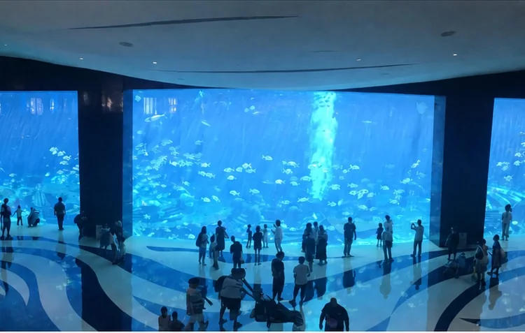 Large aquarium viewing window example