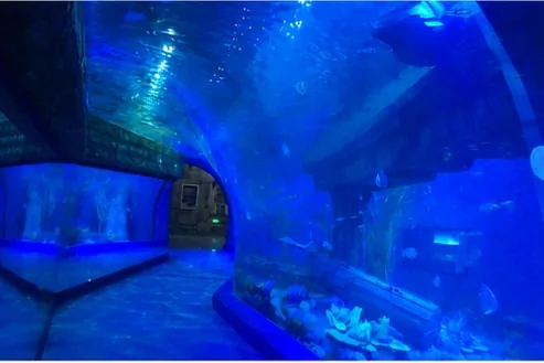 Underwater tunnel