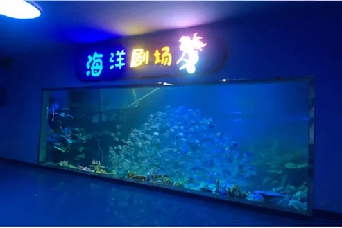 Aquarium viewing window