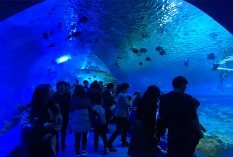 Broad underwater viewing space