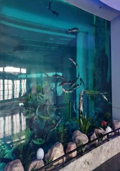 A closer view of the aquarium window