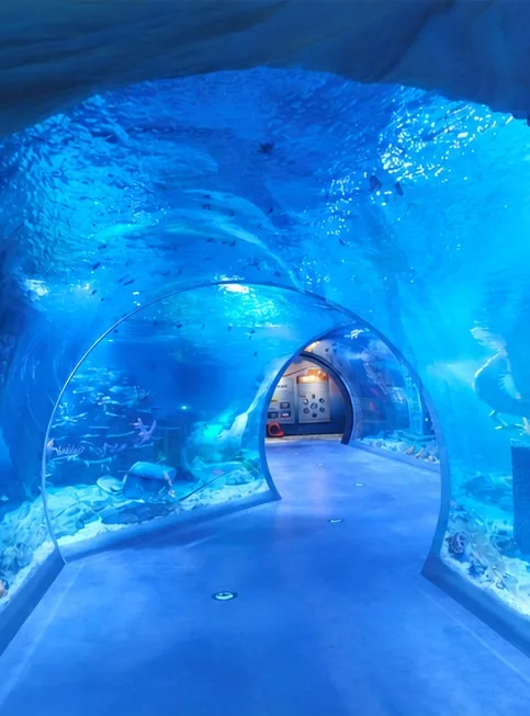 Voltooide onderwatertunnel bij de Shenzhen Hengyuan Hailifang project