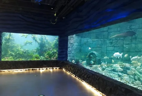 Long aquarium display