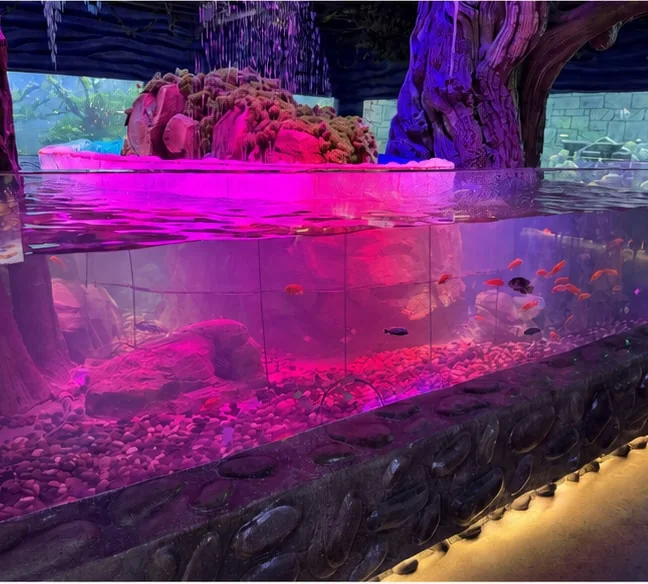 Finished display tank