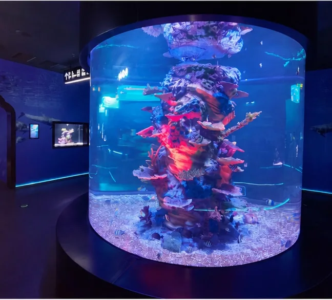 Cylindrical aquarium display