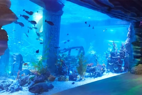 Aquarium viewing window at Shenzhen Hengyuan Hailifang