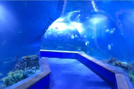 Curved aquarium passage