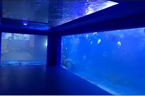 Aquarium viewing corner