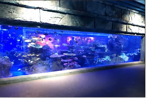 Long aquarium viewing window